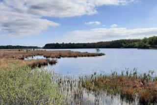 De Bosuil Drenthe - Spier - 2