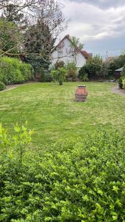 FH mit einzigartigen Garten im schönen Rheinhessen - 8