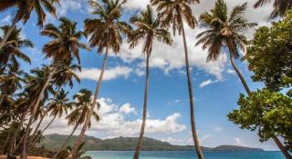 Coco Estudio Garden near La Playita beach - Las Galeras - 9