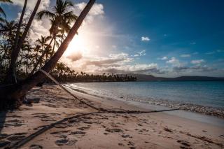 Coco Estudio Garden near La Playita beach - Las Galeras - 7