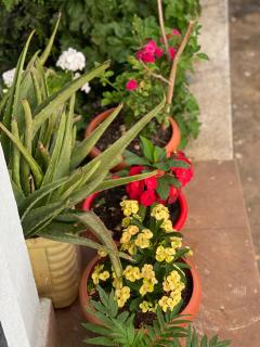 Aanshi homestay - Nepālganj - 4