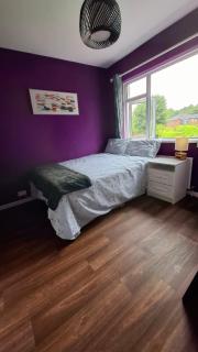 Beautiful home with garden great location - Belfast - 1