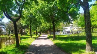 Anglet T3 ideal vacances - Anglet - 1