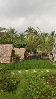 Glamping Orak Arik - - 4
