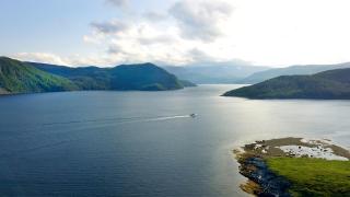 Neddies Harbour Inn - 2