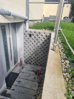 Schöne Wohnung mit Garten nahe schweizer Grenze - Küssaberg - 8