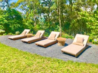 Log Cabin - Monte Verde - 8