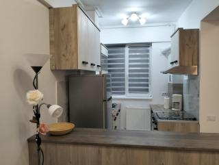 Casa Larisa - Bragadiru - 6