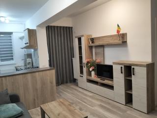 Casa Larisa - Bragadiru - 4