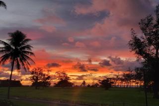 Coconut Coast Oceanview - Kapaa - 7