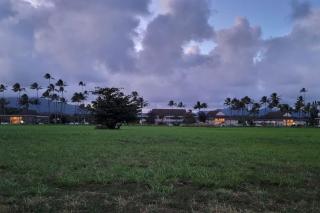 Coconut Coast Oceanview - Kapaa - 1