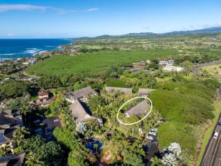Tropical Treehouse Near the Beach - Koloa - 1