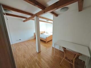 Elegant and Spacious 4BR Loft in Charming Vinohrady - Prag - 9