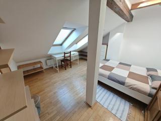 Elegant and Spacious 4BR Loft in Charming Vinohrady - Prag - 5