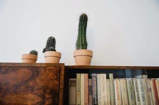 Stylish and unique 2 bedroom flat with balcony in Letna - 3