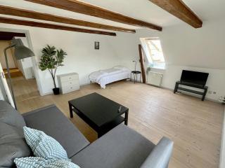 Central and Spacious Apartment for 3 - Hornslet - 3