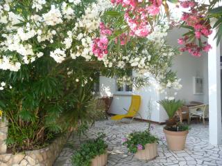 Apartment Arbanas - Rab - 4