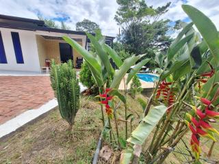 CASA BLANCA EN LA VEGA - La Vega - 1