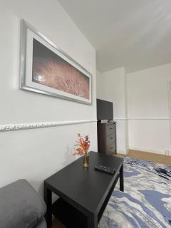 Magnificent Luxurious Apartment for 6ppl In Bethnal Green - Londra - 6