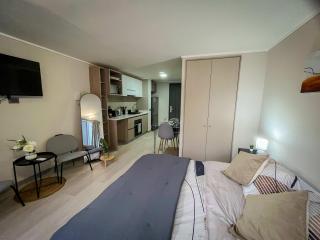 HOM I Departamento 1Dl1B Metro Santa Lucia 2PAX - Santiago - 5
