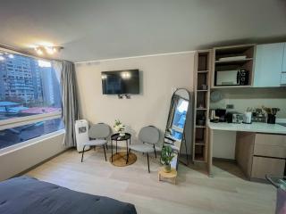 HOM I Departamento 1Dl1B Metro Santa Lucia 2PAX - Santiago - 6