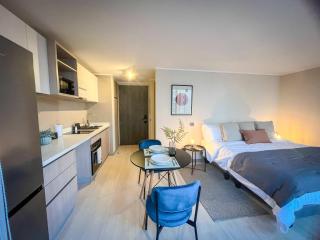 HOM I Departamento1Dl1B Metro Santa Lucia 2 PAX - Santiago - 6