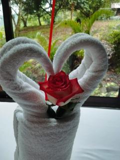 Breezes Ecolodge - 7