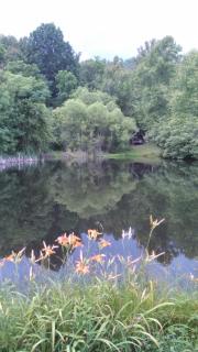 Cabin in the Treetops-Peaceful 1BR 20-Acre Rural Retreat-HotTub&WiFi near Asheville - 1