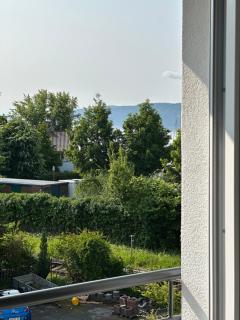 Ferienwohnung Seescheune 150m vom Ufer entfernt - Bodman-Ludwigshafen - 2