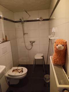 Sonnenscheinhof Alpakas, Ferienwohnung - - 1