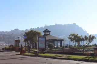Espectacular Departamento en Primera linea en Puerto Varas - La Unión - 9