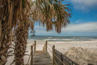 Sea Glass - Cape San Blas - 0