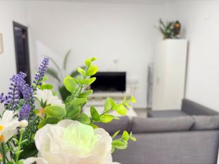 Apartamento La Paloma A - Apartamento en Málaga - Málaga - 6