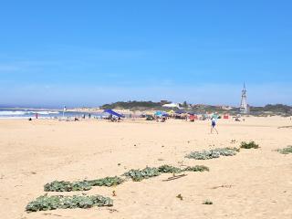 Blue Horizon 16 - Jeffreysbaai - 8