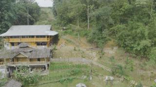 Local Homestay - - 9