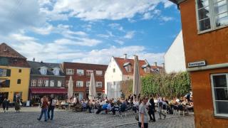 Scandinavian city apartment - Aarhus - 1