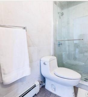 private spacious apartment with 2 bedrooms 2 bathroomss and a deck - New York - 4