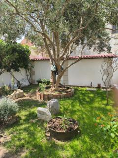 Guesthouse Trogir Proto-Free parking - Trogir - 6