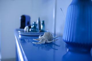 Blue View - Beachfront Villa by HIHE - - 4