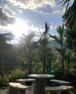 Nature stay - Private Water stream and Swimming Pool - Aldūr - 4