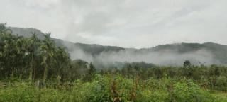 Nature stay - Private Water stream and Swimming Pool - Aldūr - 2