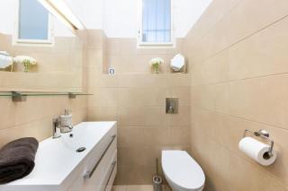 Apartment Manes - Prag - 9