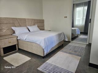 Spea studio Apartment - Mbarara - 9