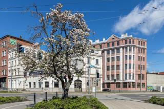 Airy Loft Nestled in Old Town - Riga - 9