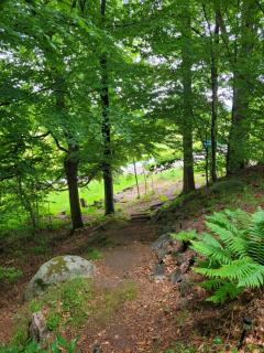 Stuga i Tjörnarp - 3