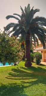 La Giralda 2 Denia Les Marines - 4