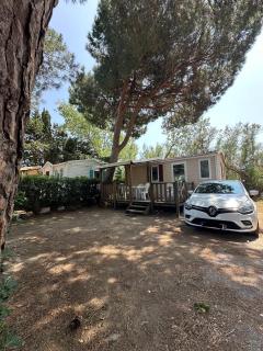 Mobil Home 2 chambres Sous les pins - Torreilles - 9