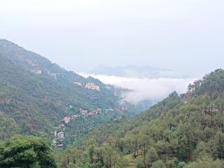 Magestica Homes - - 9