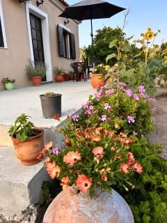 Ambelos, Lesvos Beach House - Skoutaros - 7