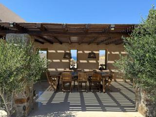 Aviola Mykonos - Ftelia - 8